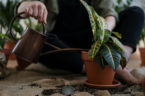 From Mud to Magic: How Handmade Ceramics Are Crafted (and Why It Matters)