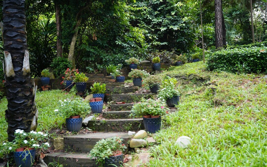 Gardening Near Trees: How to Choose Plants That Thrive in Tree Shade