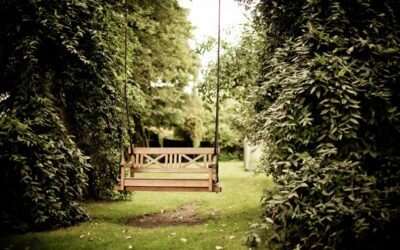 Building Calming Spaces: When to Prune, When to Plant, When to Call the Pros